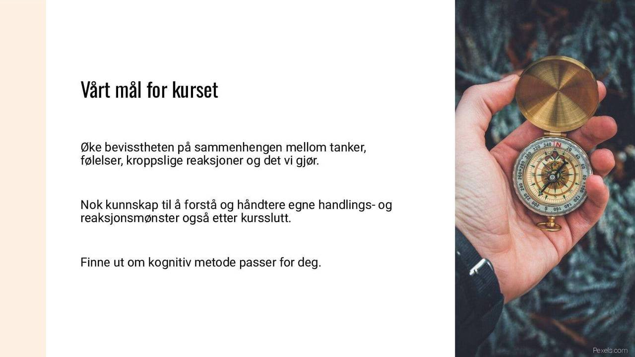 Vårt mål for kurset