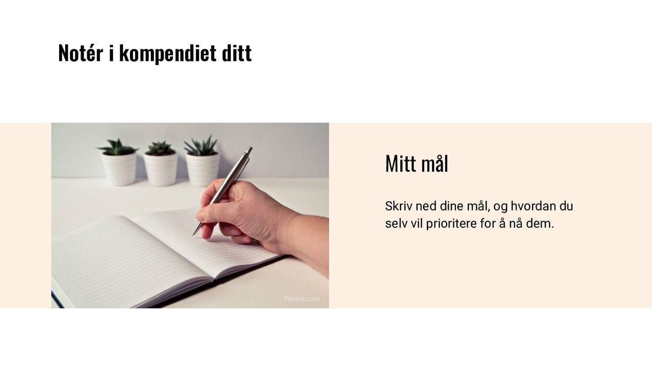 Notér i kompendiet ditt