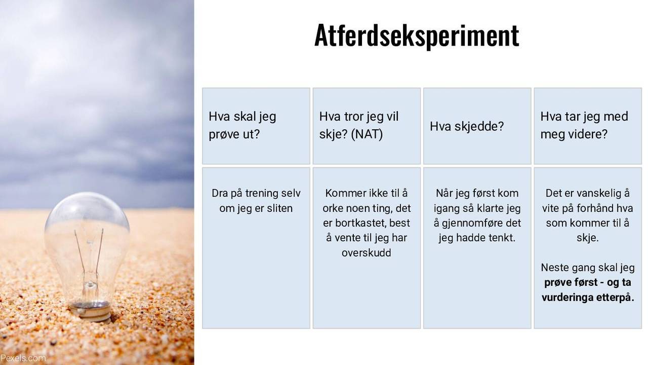 Atferdseksperiment