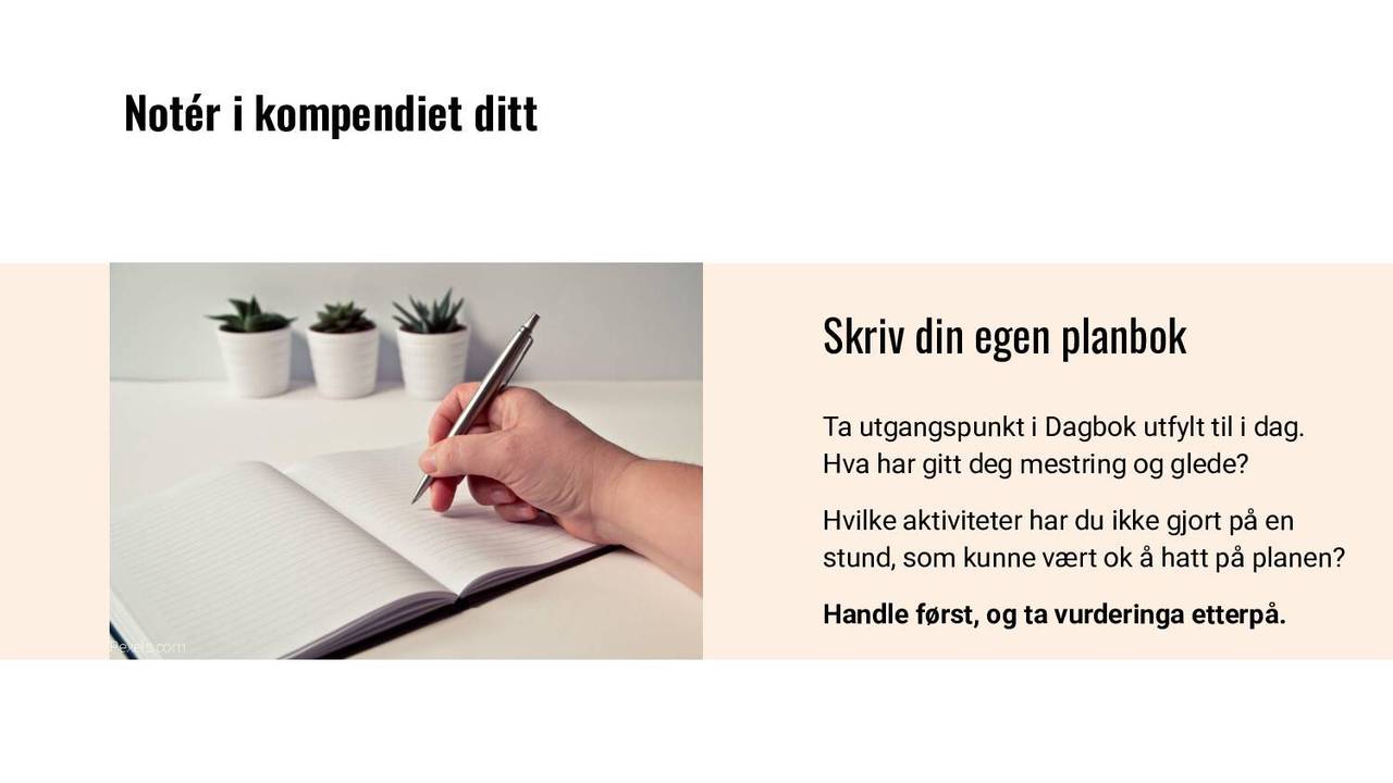 Noter i kompendiet ditt