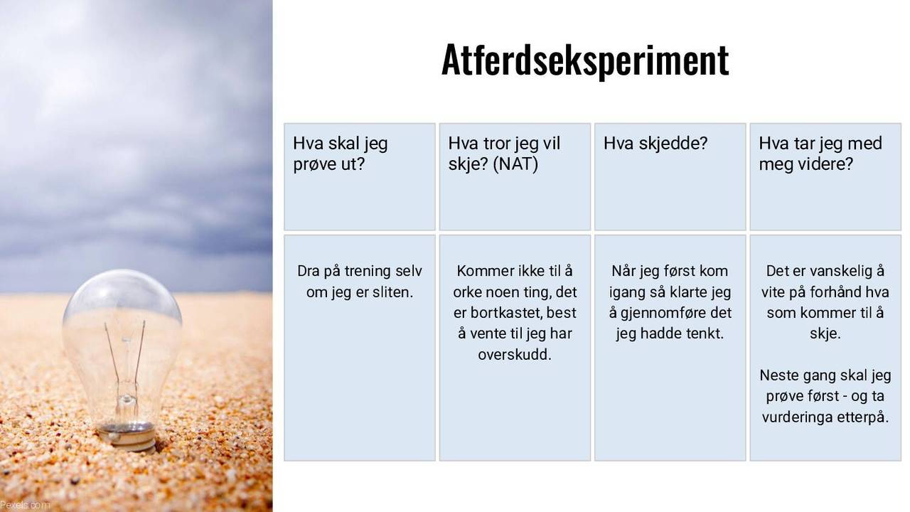 Atferdseksperiment