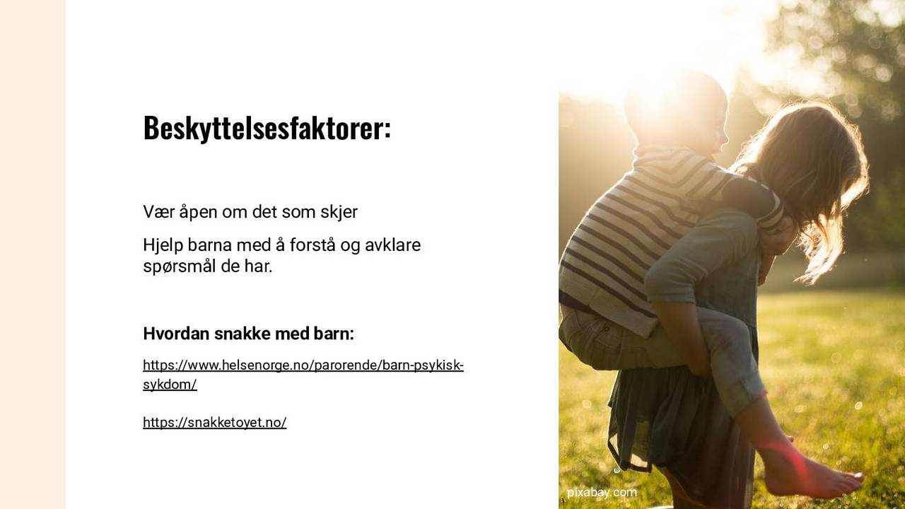 Beskyttelsesfaktorer
