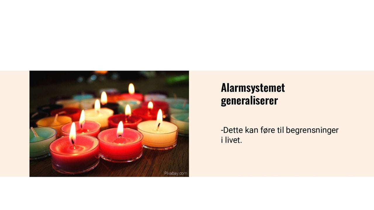 Alarmsystemet generaliserer