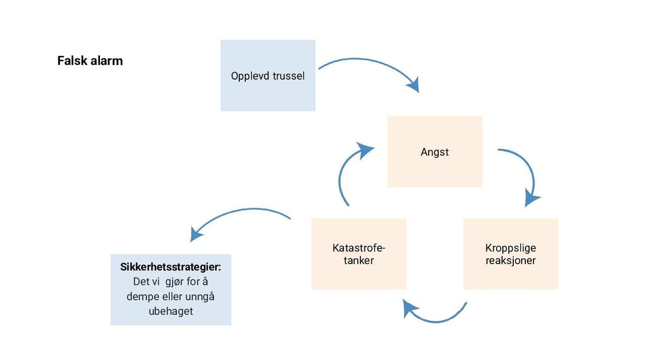 Panikksirkelen - falsk alarm