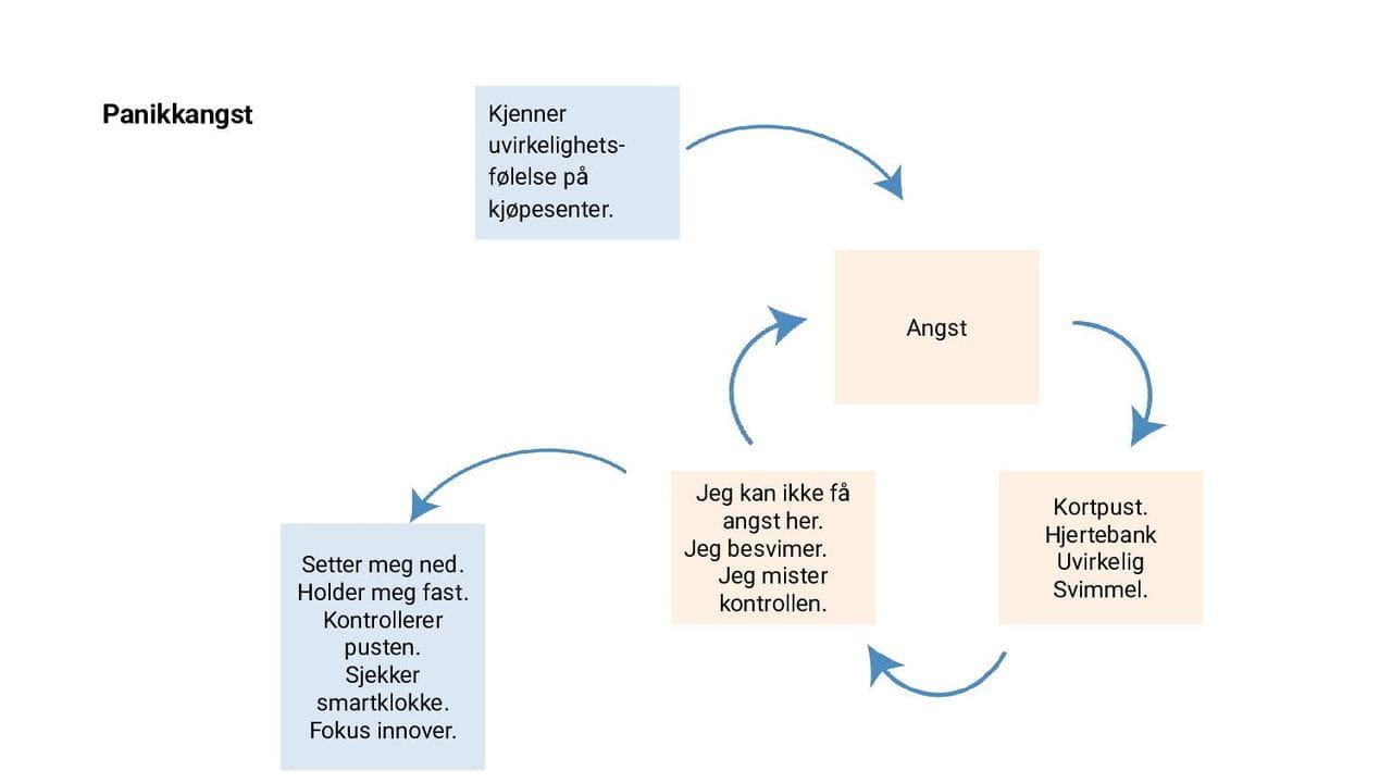 Panikksirkelen - panikkangst