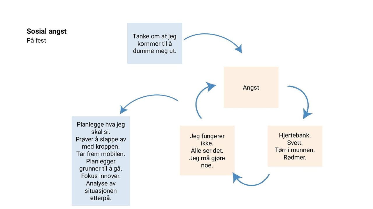 Panikksirkelen - sosial angst
