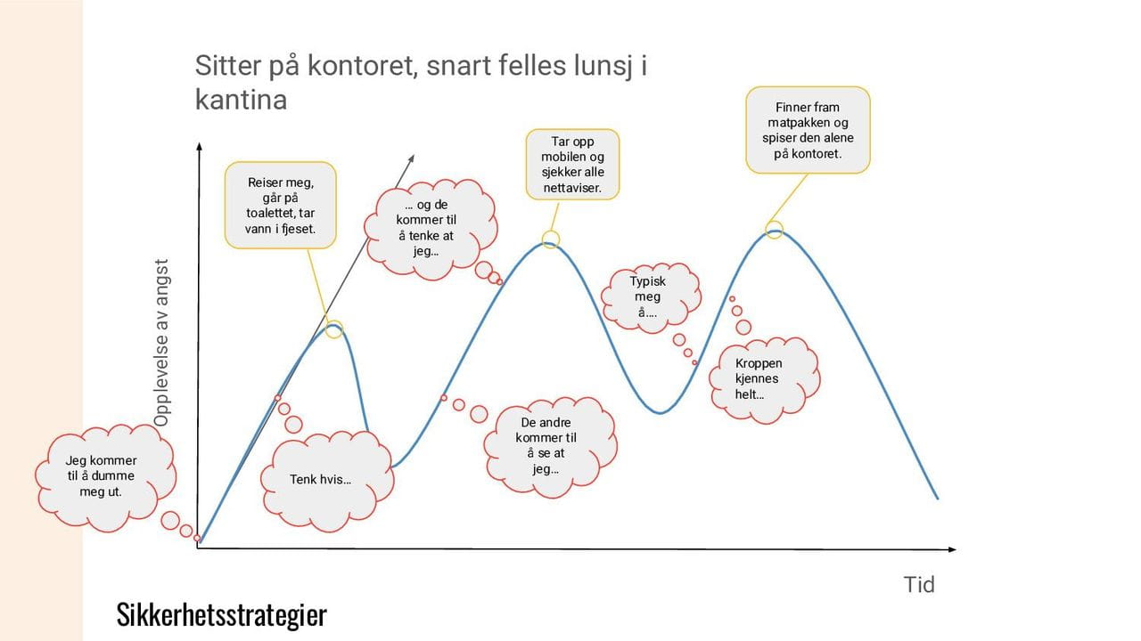 Sikkerhetsstrategier