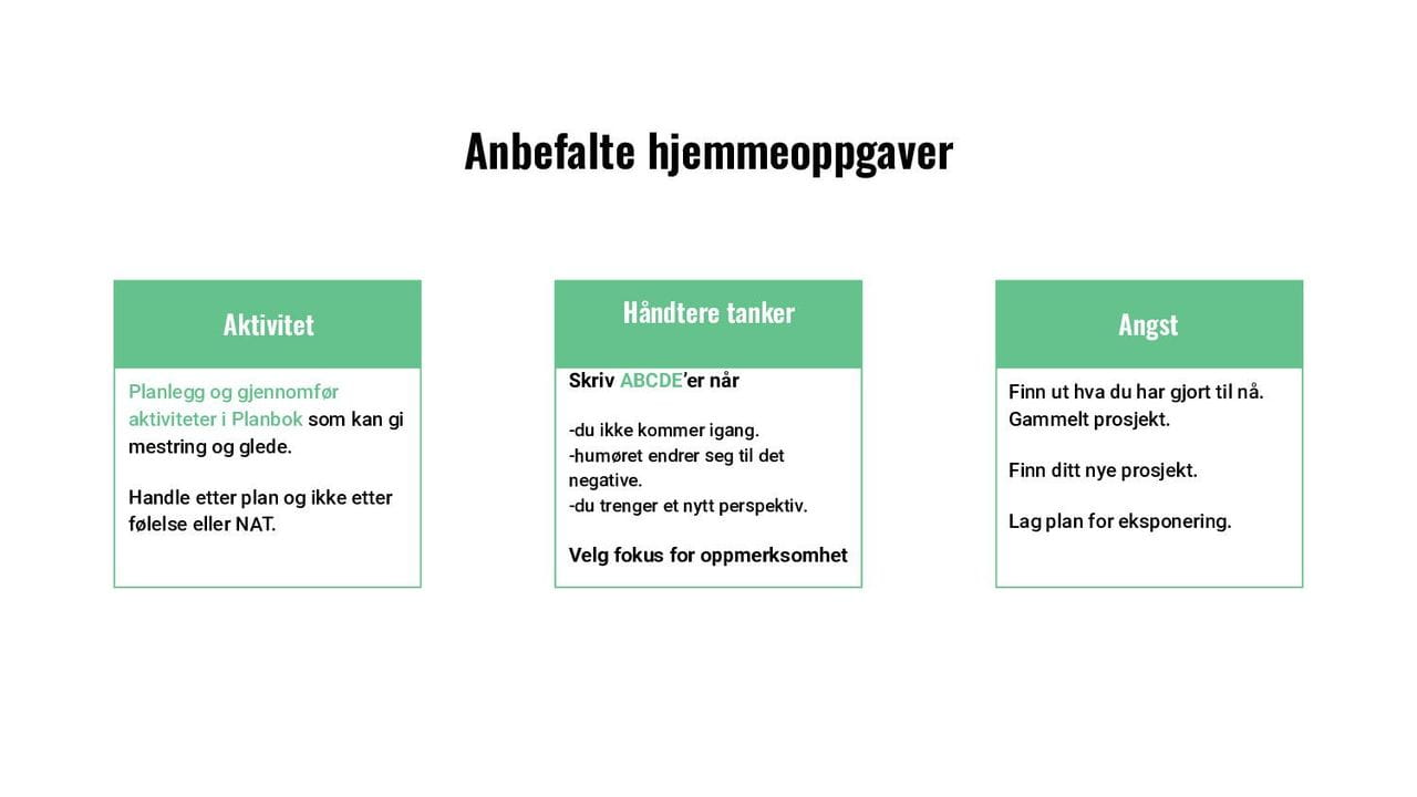 Anbefalte hjemmeoppgaver