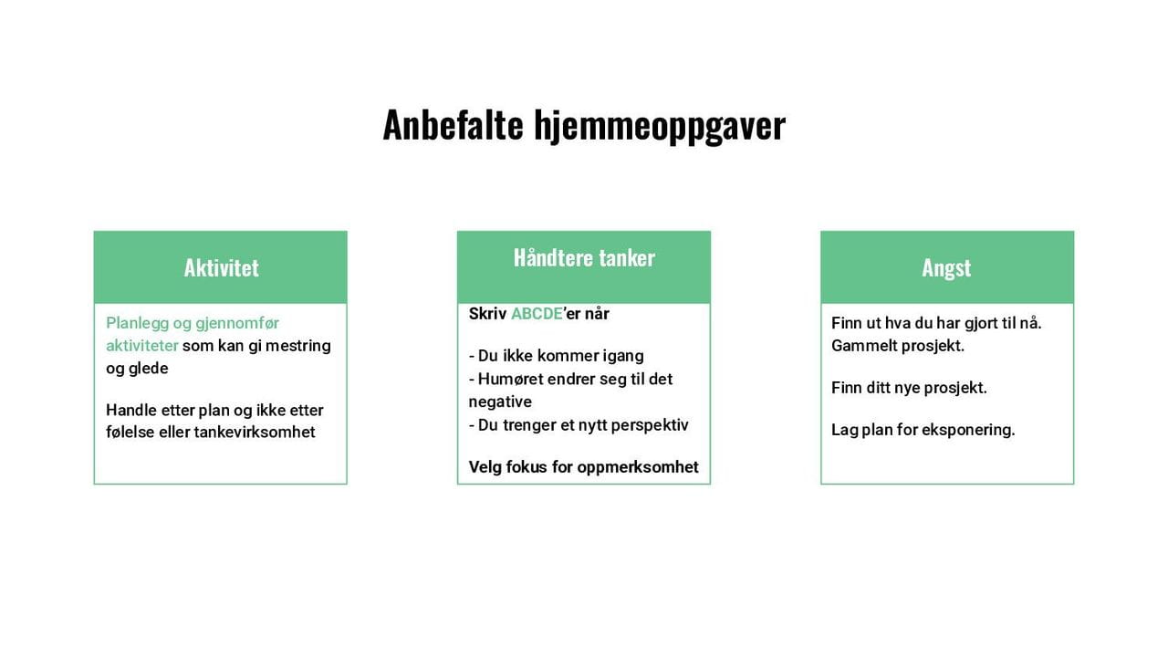 Anbefalte hjemmeoppgaver