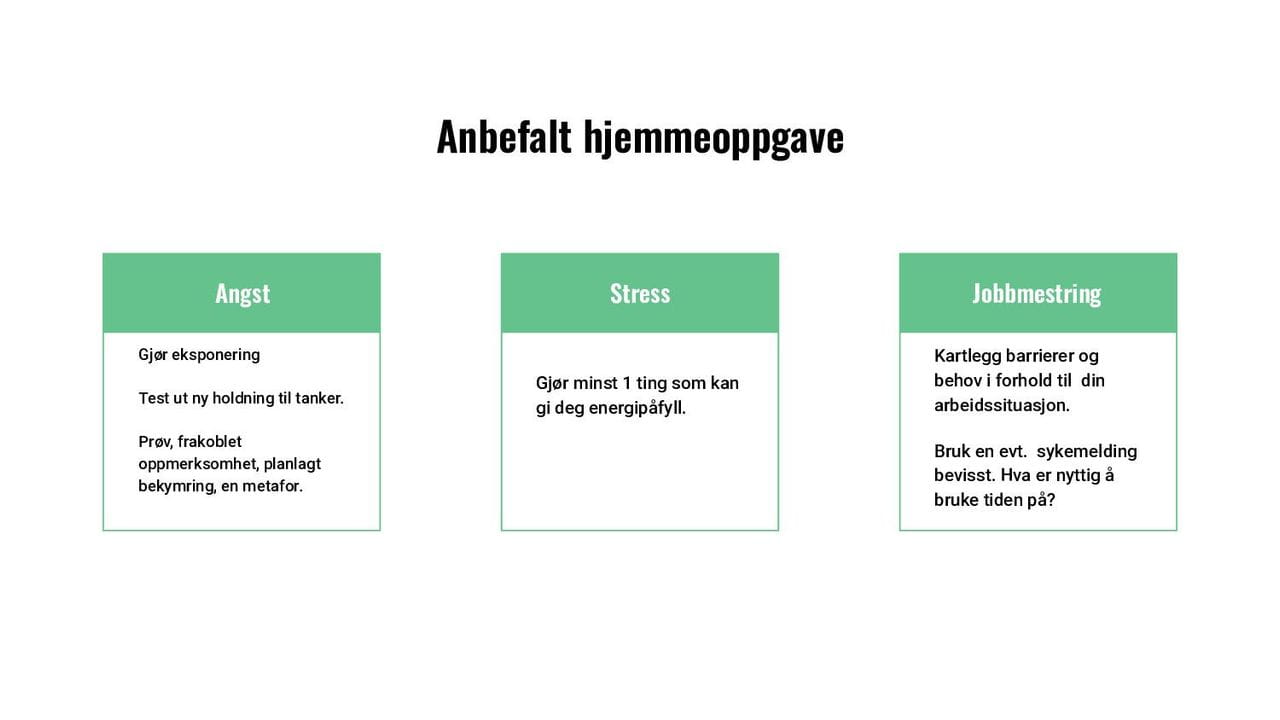 Anbefalt hjemmeoppgave