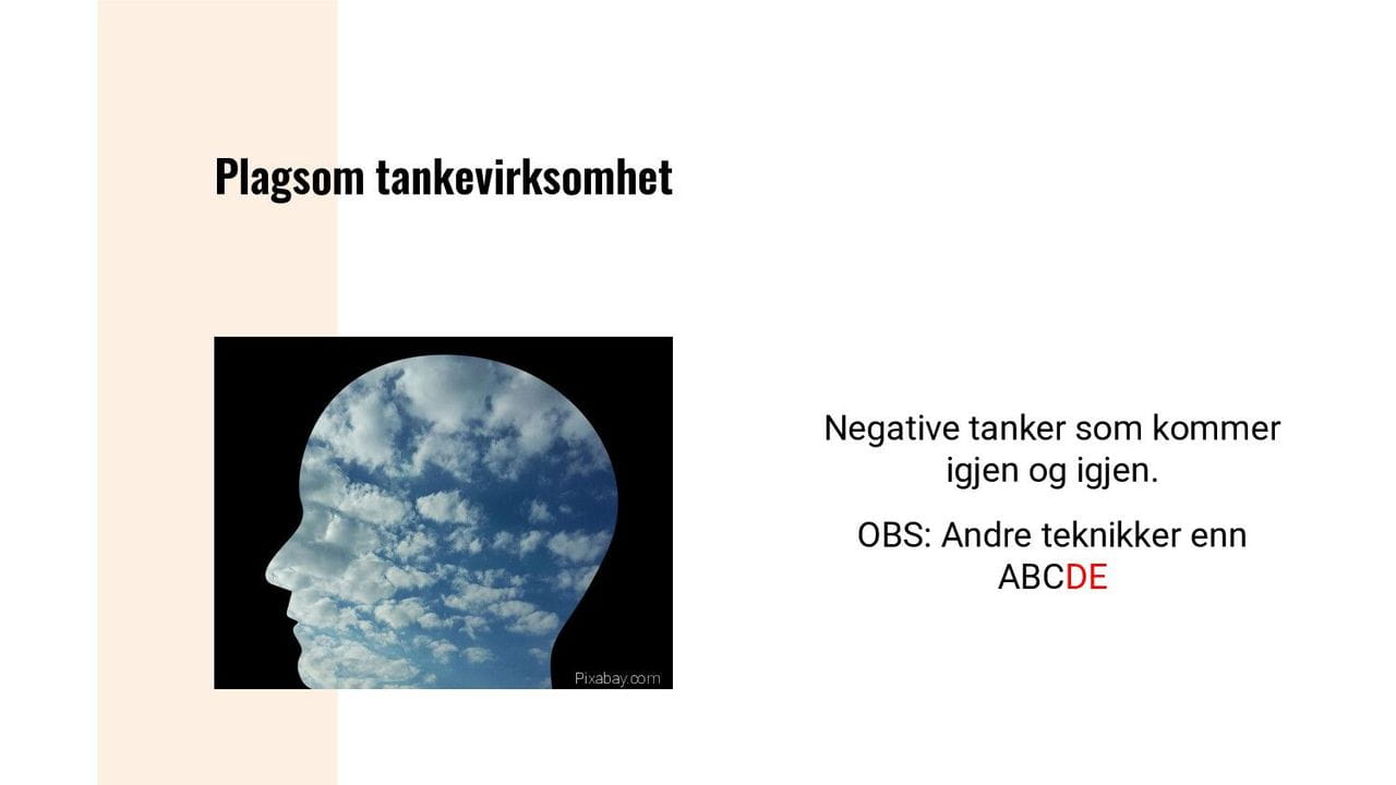 Plagsom tankevirksomhet