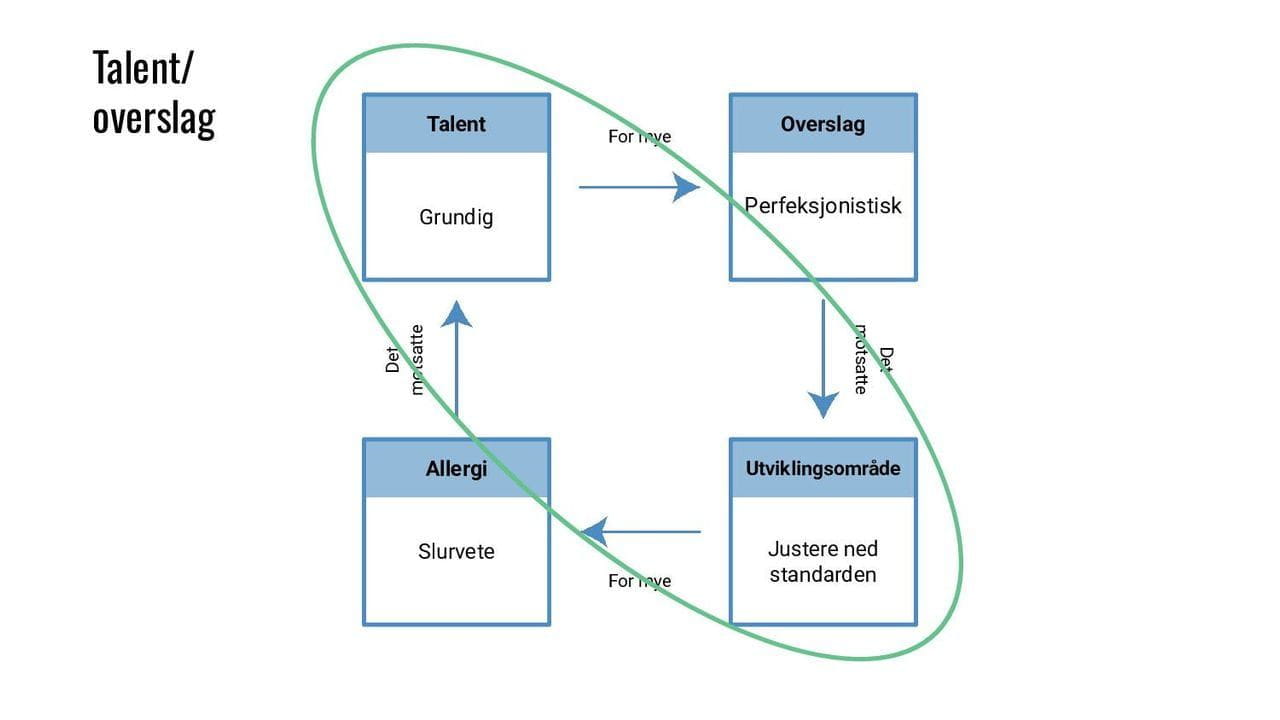 Eksempel talent/overslag-modellen