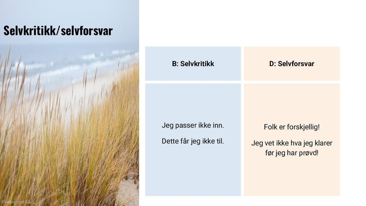 Selvkritikk/selvforsvar