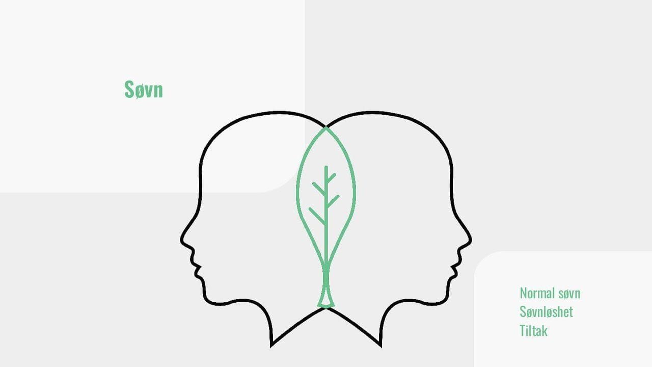 Søvn