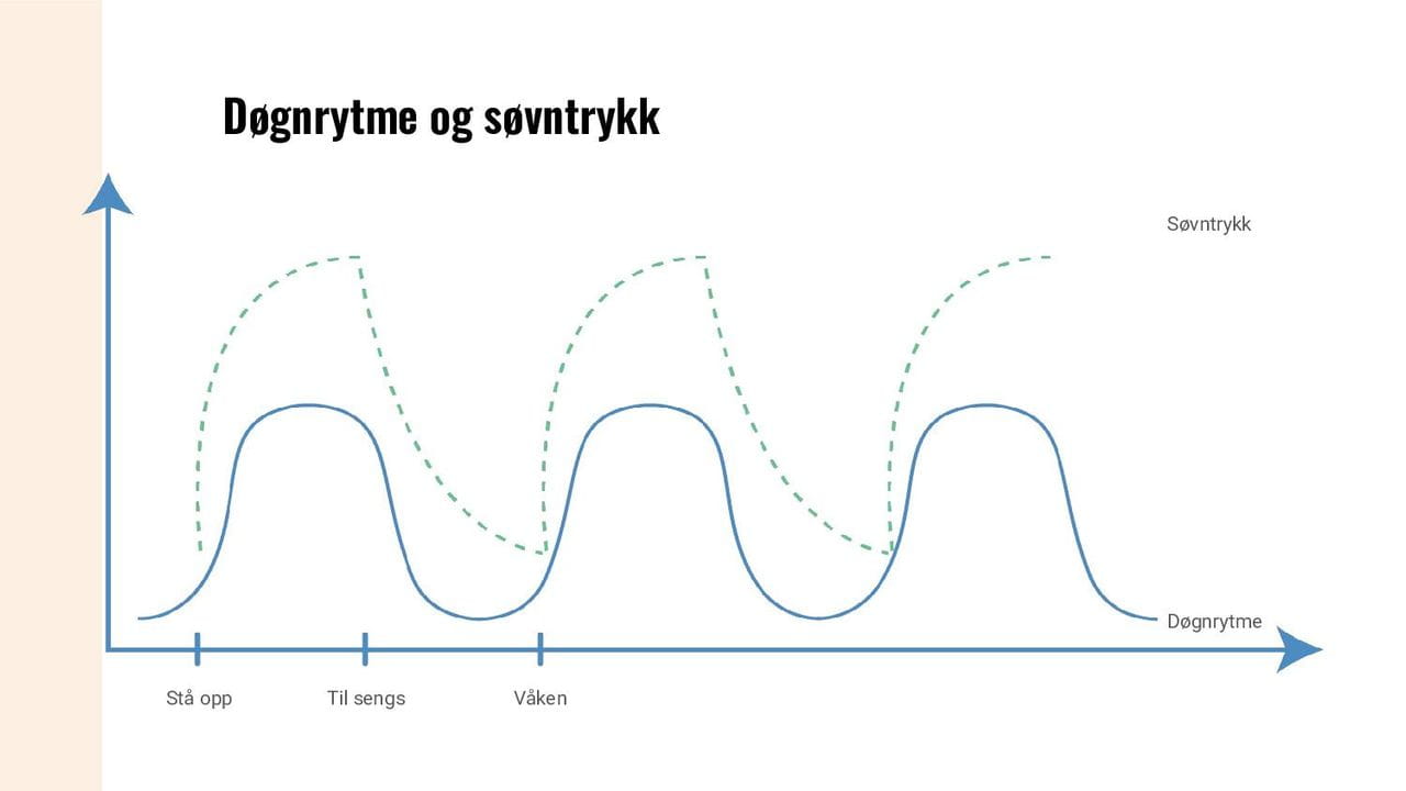 Døgnrytme og søvntrykk