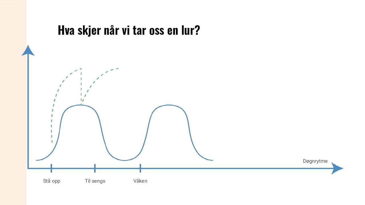 Hva skjer når vi tar oss en lur?