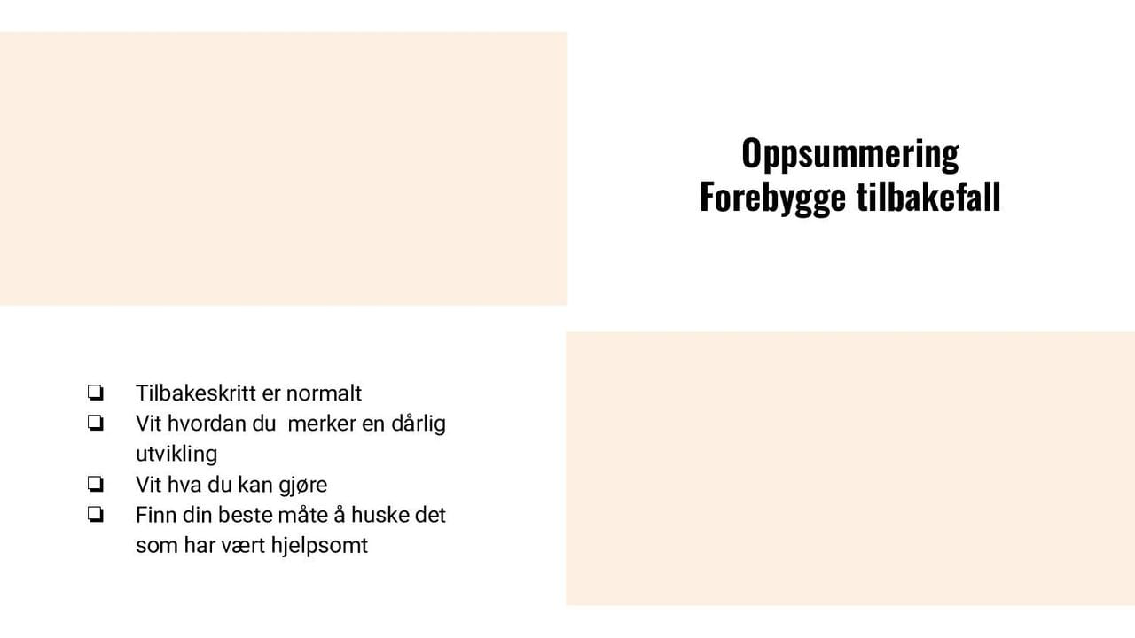 Oppsummering forebygge tilbakefall
